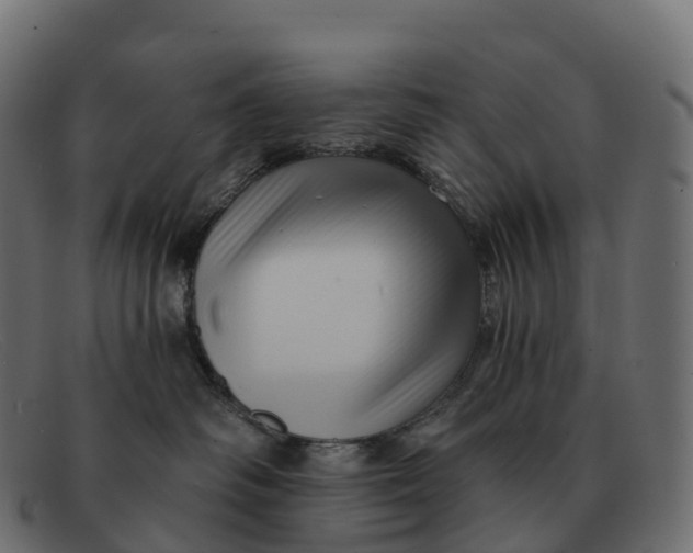 X0000091690334200709131611