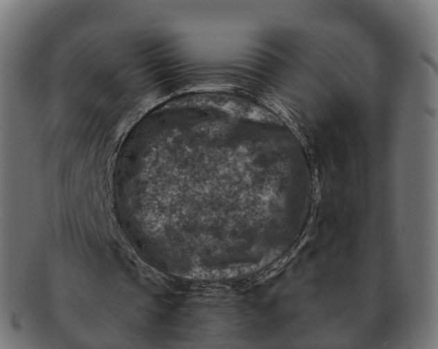 X0000091690337200709131611