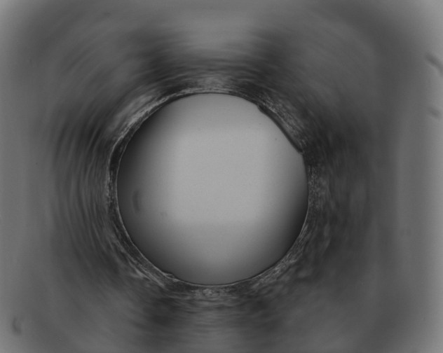 X0000091690338200709131611