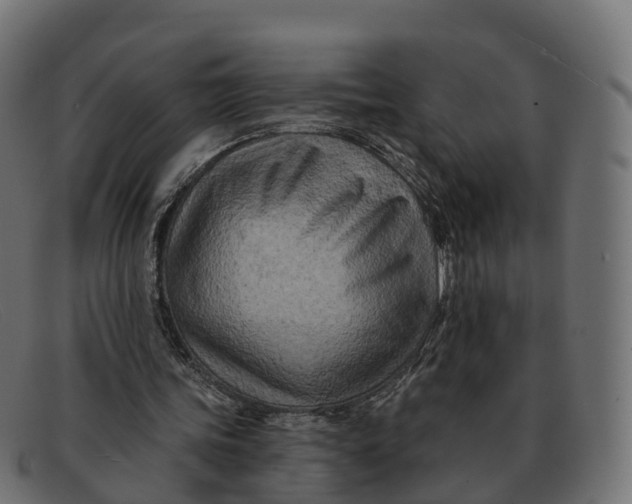 X0000091690339200709131611