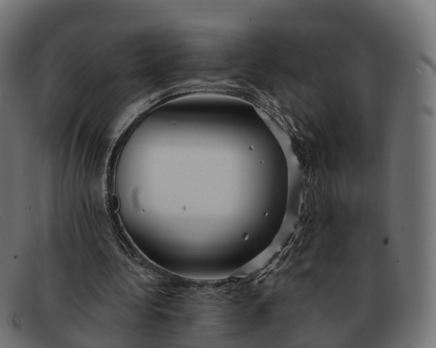 X0000091690340200709131611