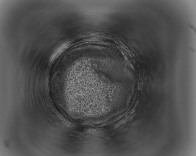 X0000091690341200709131611