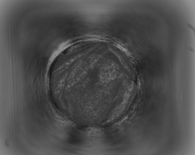 X0000091690343200709131611