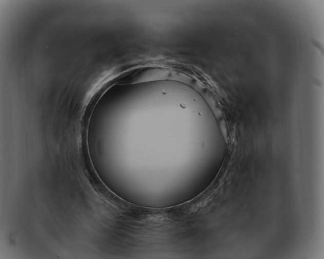 X0000091690344200709131611