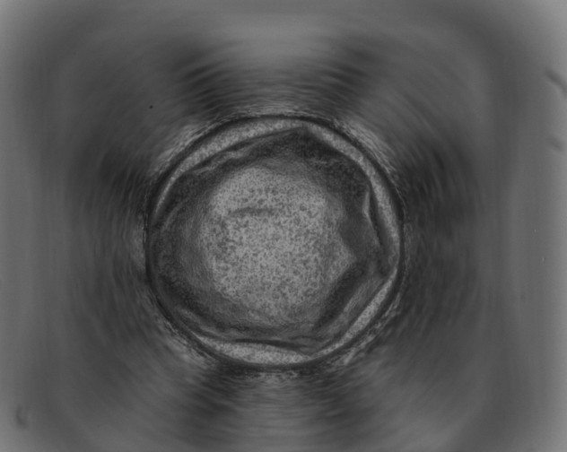 X0000091690345200709131611