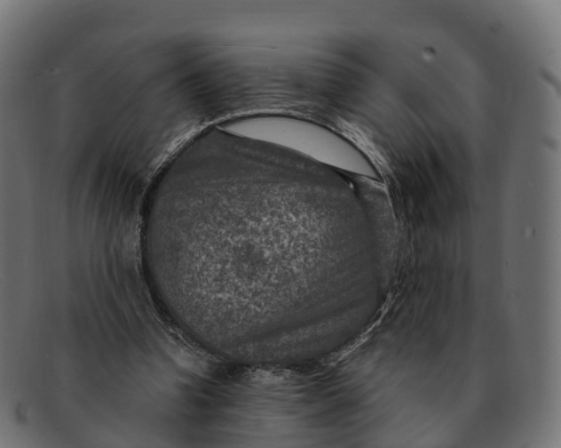 X0000091690346200709131611