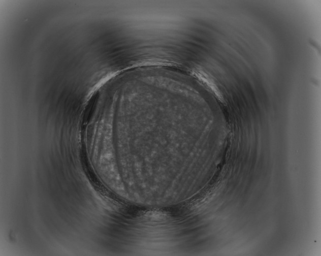 X0000091690348200709131611