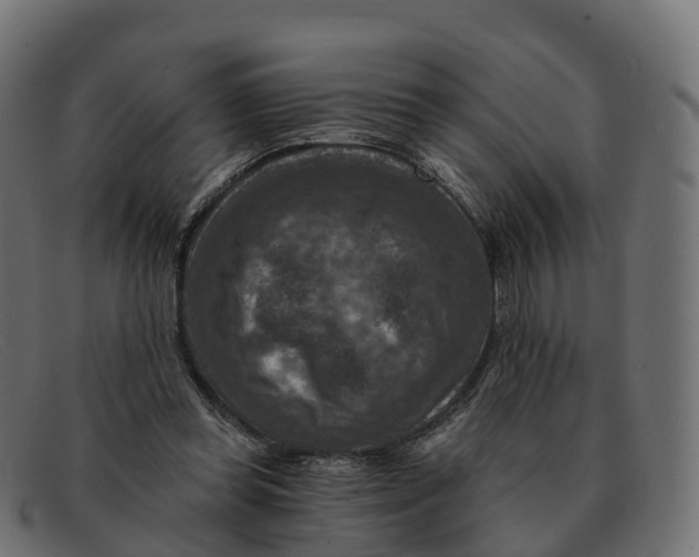 X0000091690349200709131611