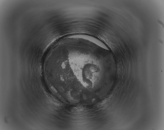 X0000091690351200709131611