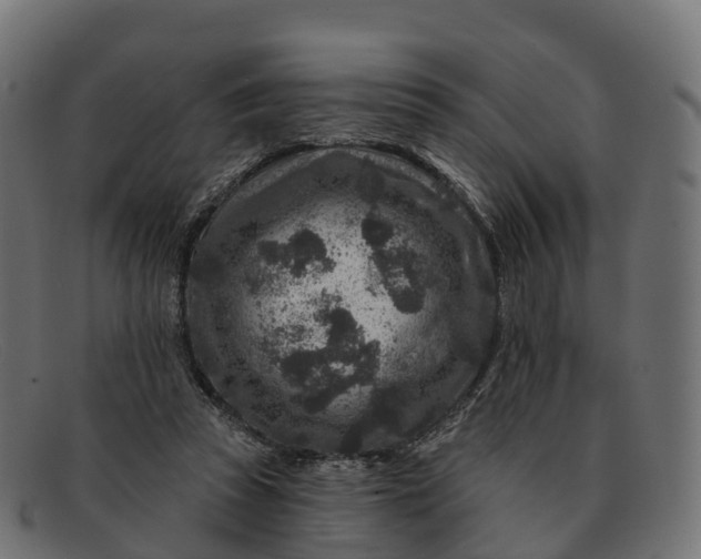 X0000091690353200709131611