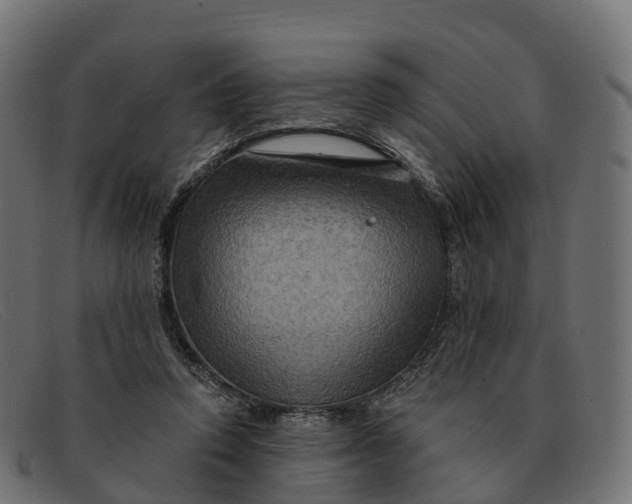 X0000091690354200709131611