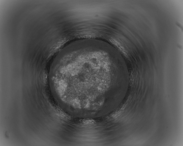 X0000091690355200709131611