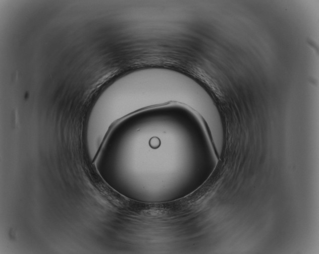 X0000091690356200709131611