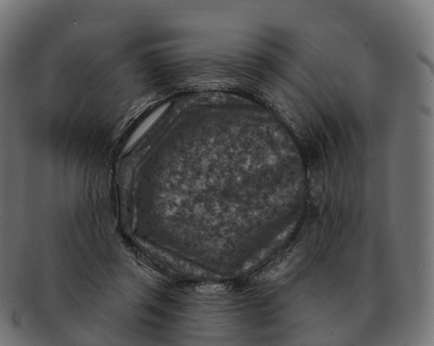 X0000091690357200709131611