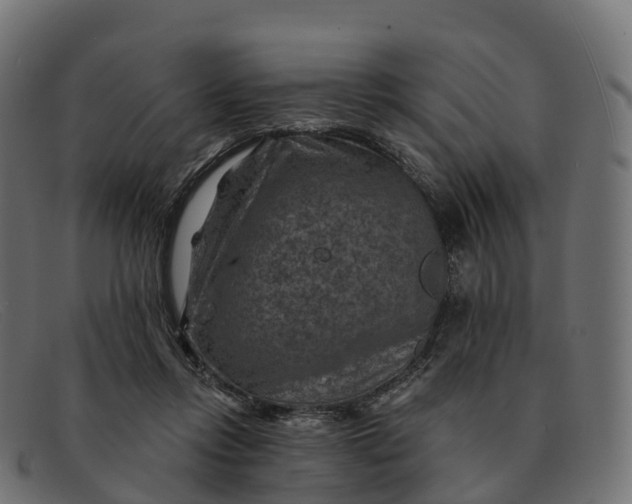 X0000091690358200709131611