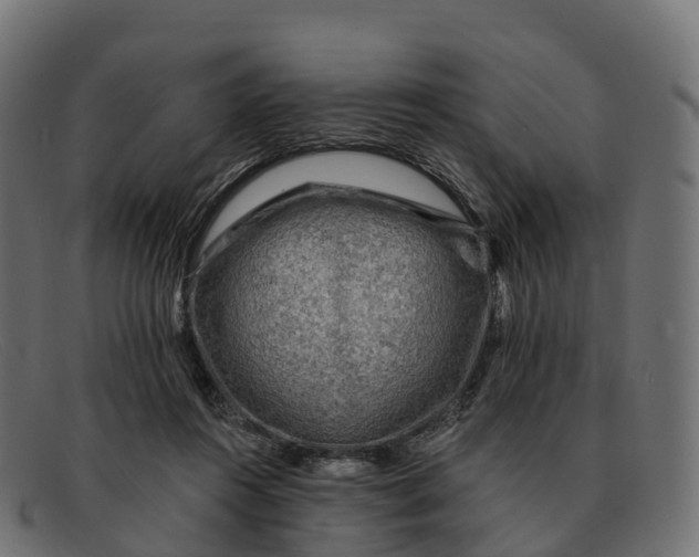 X0000091690360200709131611