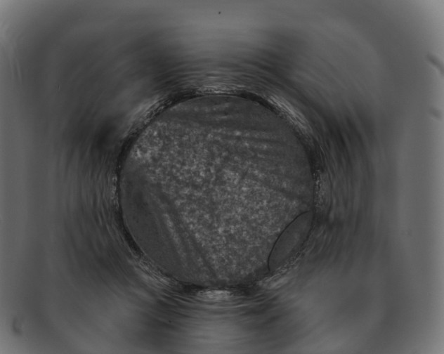 X0000091690361200709131611