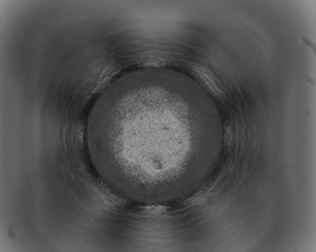 X0000091690363200709131611