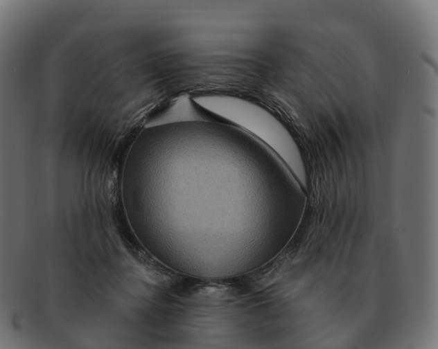 X0000091690364200709131611