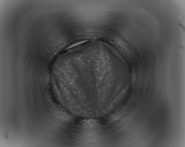 X0000091690367200709131611