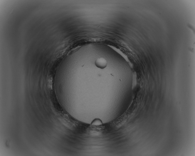 X0000091690368200709131611