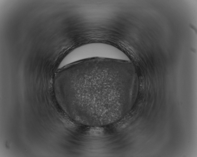 X0000091690369200709131611