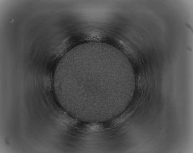 X0000091690370200709131611