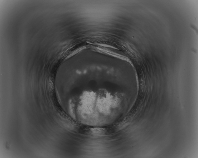 X0000091690371200709131611