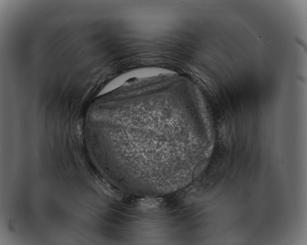 X0000091690373200709131611