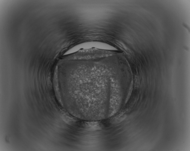 X0000091690377200709131611