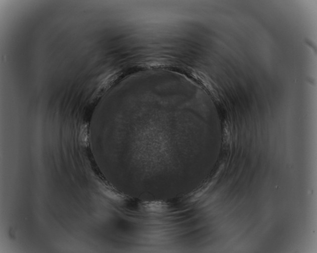 X0000091690383200709131611