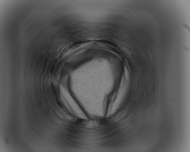 X0000091690384200709131611