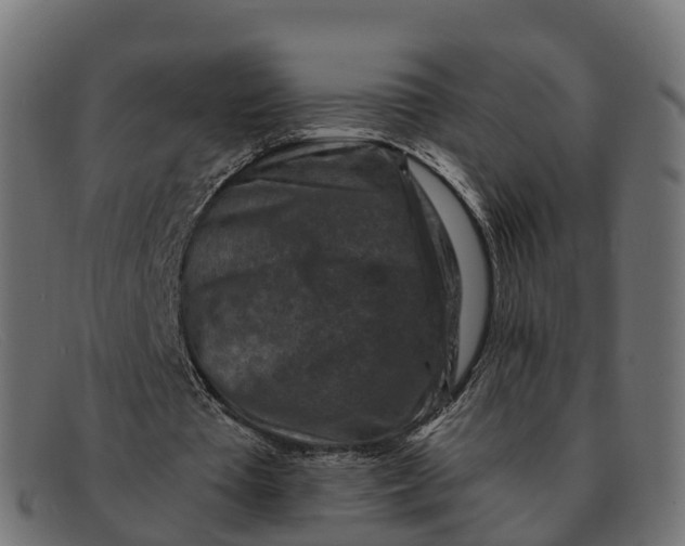 X0000091690385200709131611