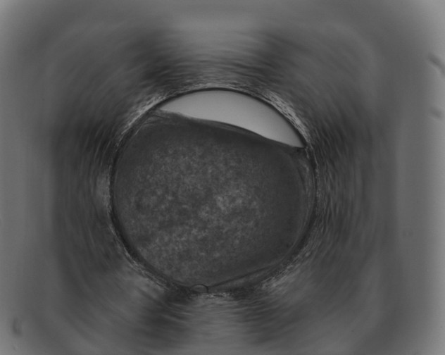 X0000091690386200709131611