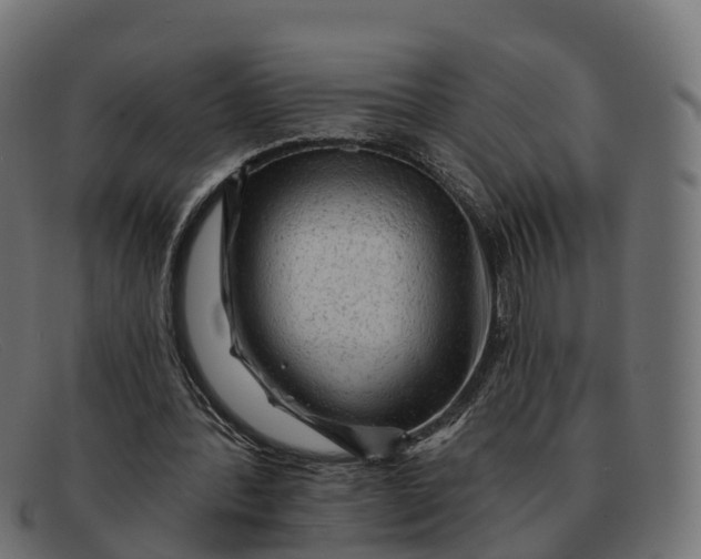 X0000091690388200709131611