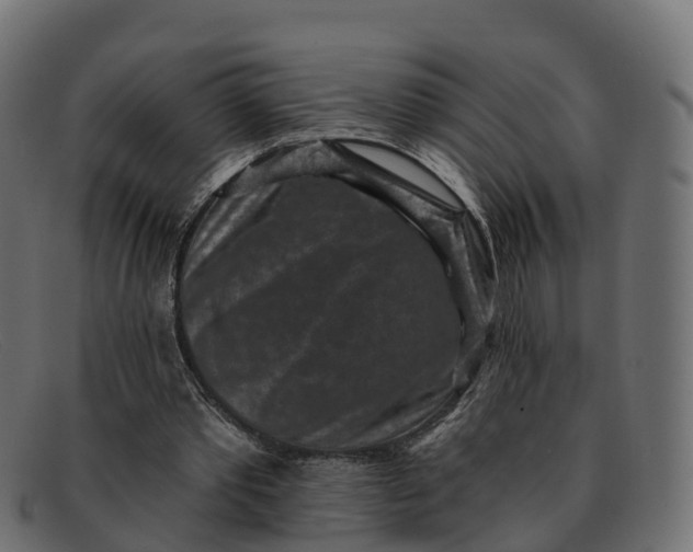 X0000091690389200709131611