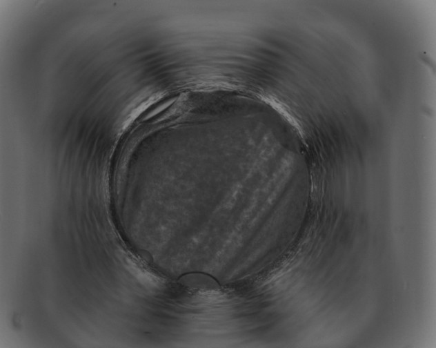 X0000091690390200709131611