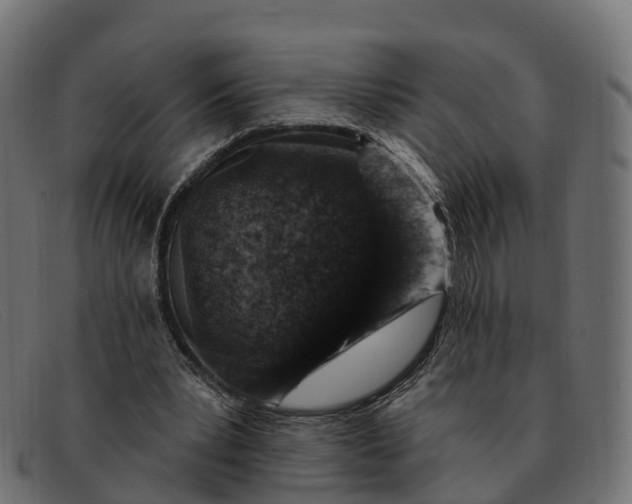 X0000091690391200709131611