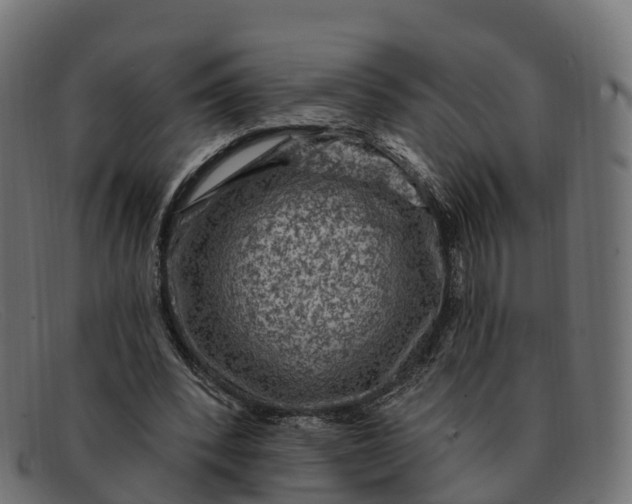 X0000091690392200709131611