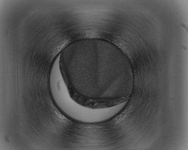 X0000091690393200709131611