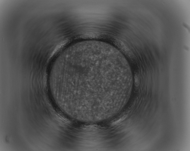 X0000091690396200709131611