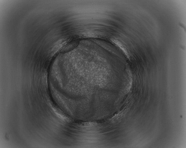 X0000091690398200709131611