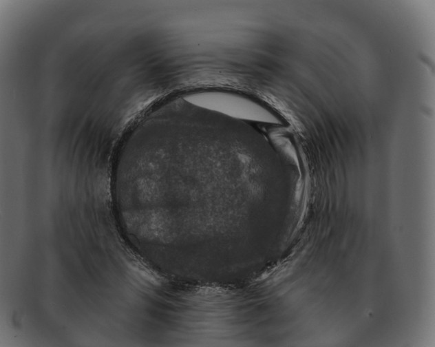 X0000091690399200709131611