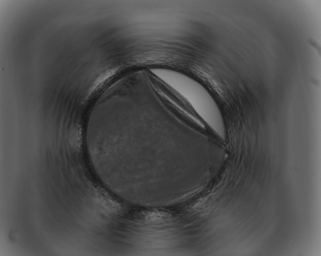 X0000091690400200709131611