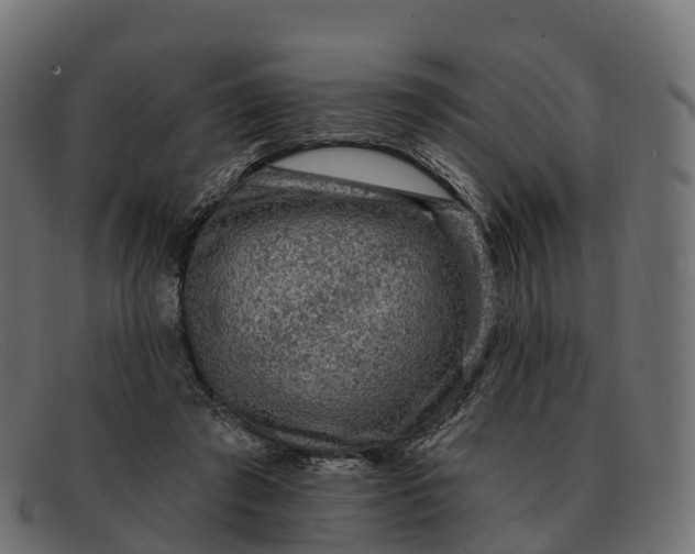 X0000091690401200709131611