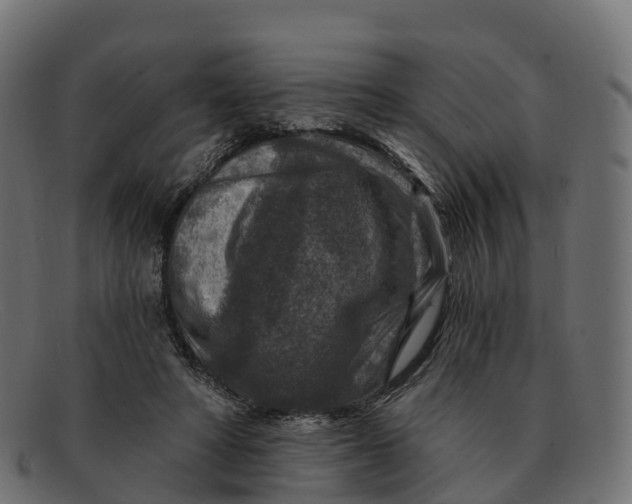 X0000091690402200709131611