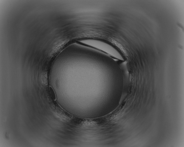 X0000091690403200709131611