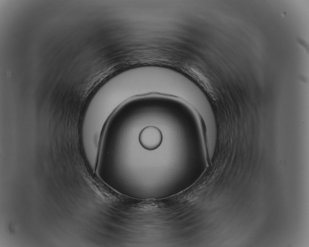 X0000091690405200709131611