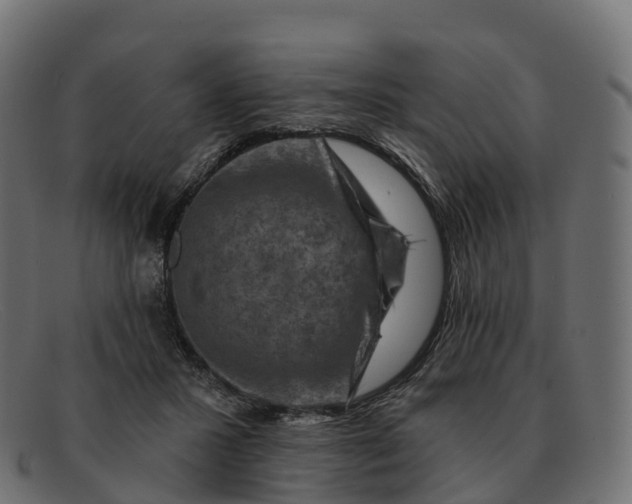 X0000091690407200709131611