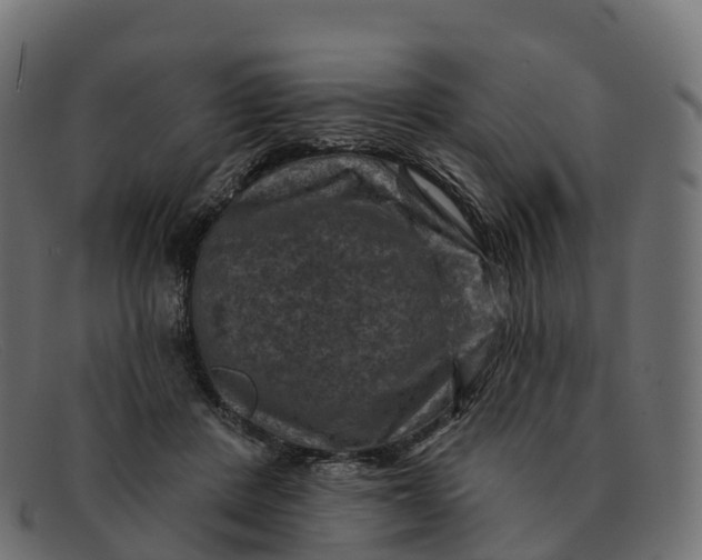 X0000091690408200709131611